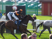 Imperator Augustus racehorse winner