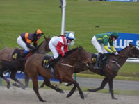 Lil Ella racehorse UK winner