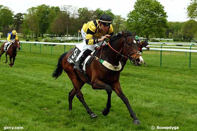 Ch'tibello racehorse winner