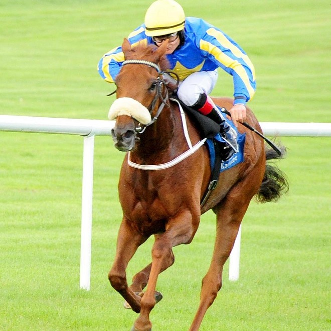 Ebadani racehorse winner