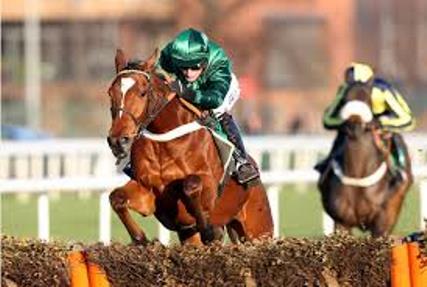 Peace and Co grade 1 cheltenham winner