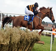 River Liane racehorse winner