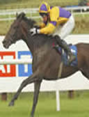 Sanglote good racehorse winner