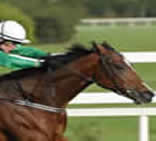 Lounaos Grade 1 racehorse winner