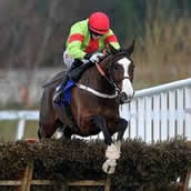 Our Conor best racehorse wins