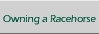 Owning a Racehorse